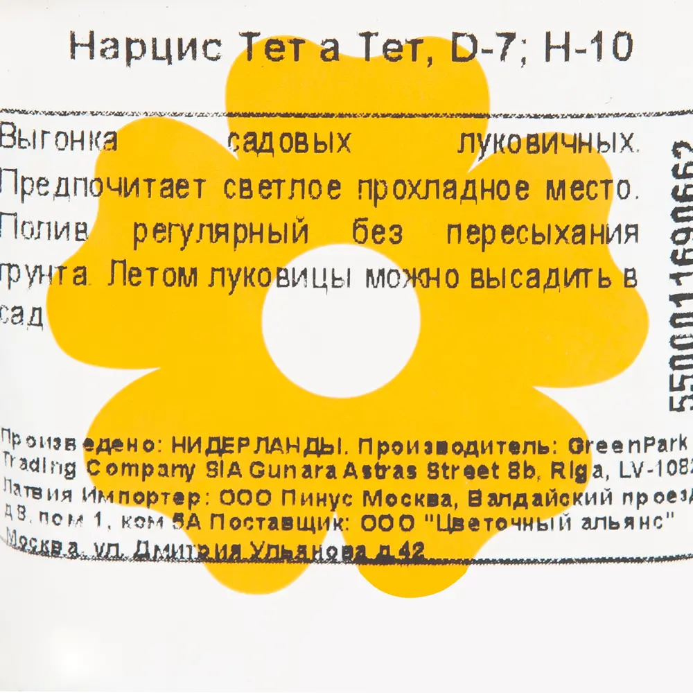 Фото 2 Рассада «Нарцисс Тет-а-тет» 7х10 см Фото 2 Рассада «Нарцисс Тет-а-тет» 7х10 см