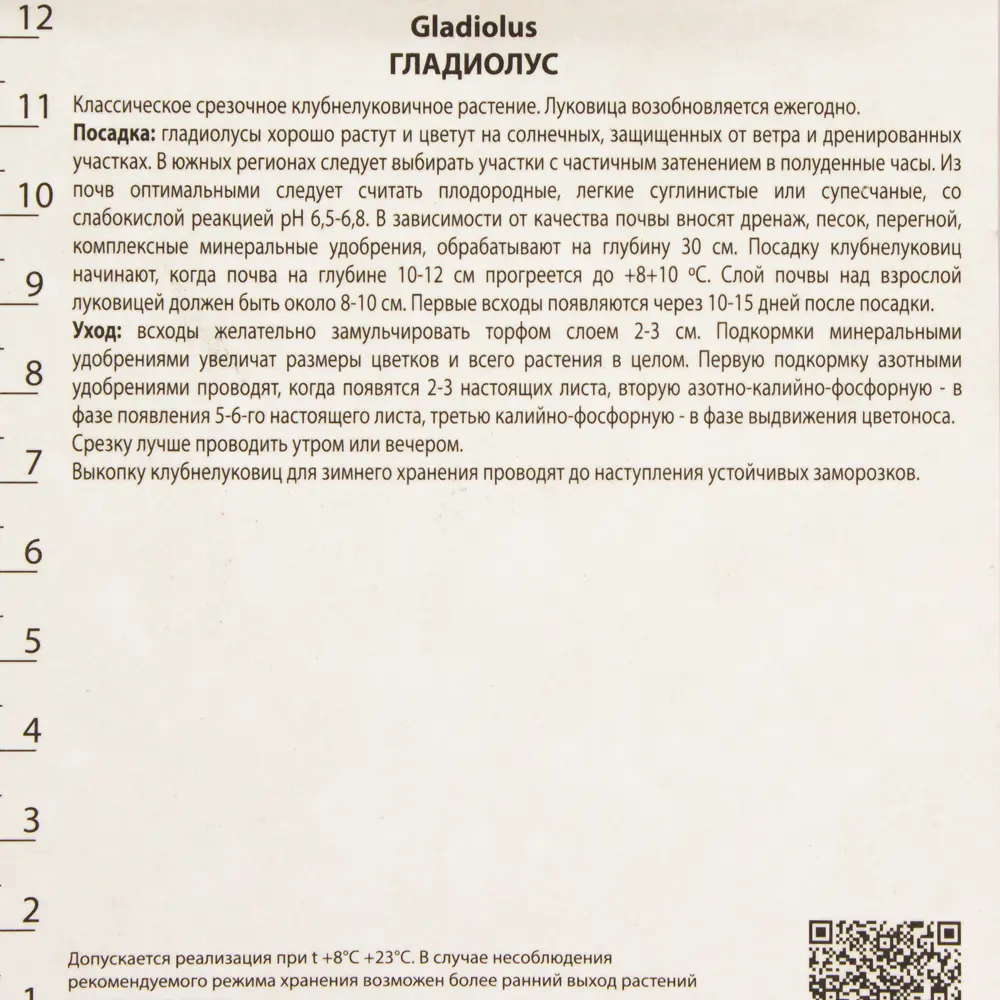 Фото 3 Гладиолусы крупноцветковые «Шоколад», размер луковицы 10/12, 3 шт. Фото 3 Гладиолусы крупноцветковые «Шоколад», размер луковицы 10/12, 3 шт.