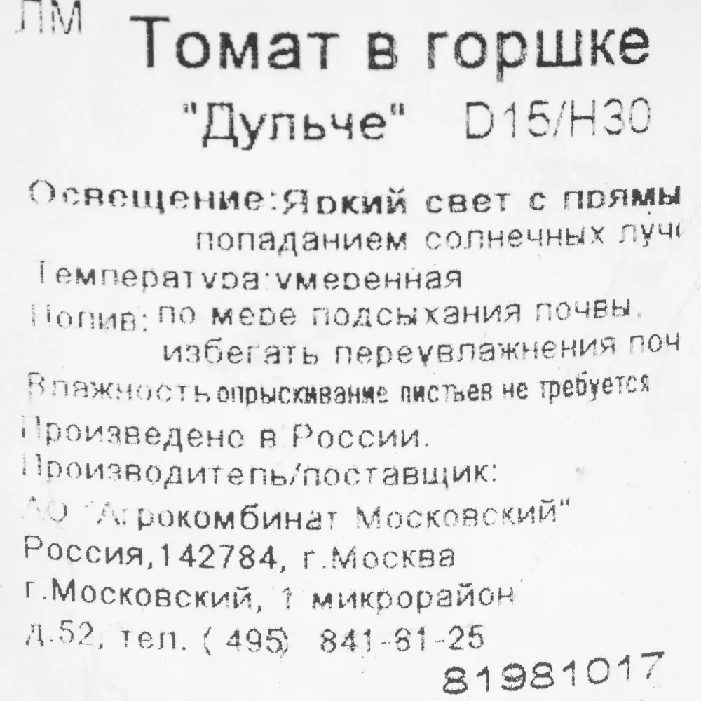 Фото 2 Томат в горшке, диаметр 15 см, высота 30 см Фото 2 Томат в горшке, диаметр 15 см, высота 30 см