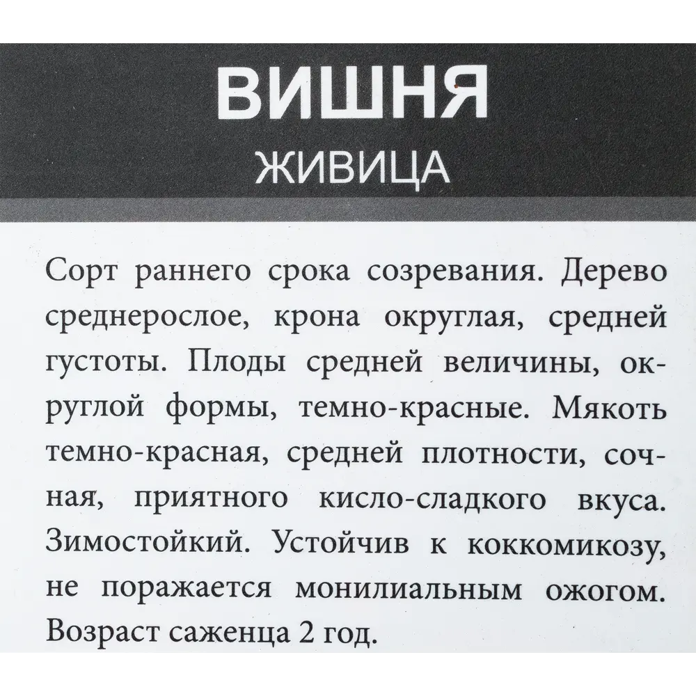 Фото 4 Вишня «Живица», пакет Фото 4 Вишня «Живица», пакет