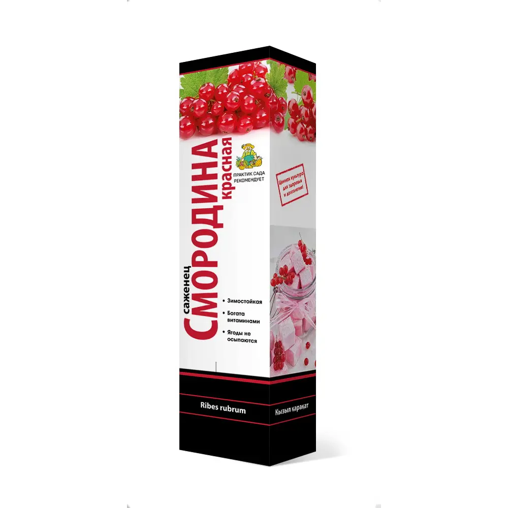 Фото Смородина красная «Акция», микс Фото Смородина красная «Акция», микс