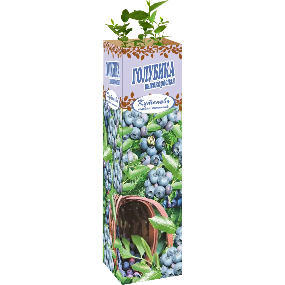 Фото Голубика «Аврора» в коробке