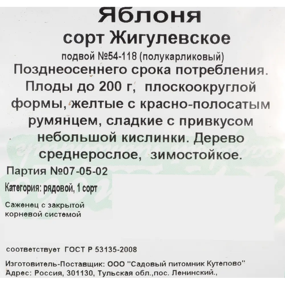 Фото 3 Яблоня «Жигулевское» С7 120-180 см Фото 3 Яблоня «Жигулевское» С7 120-180 см