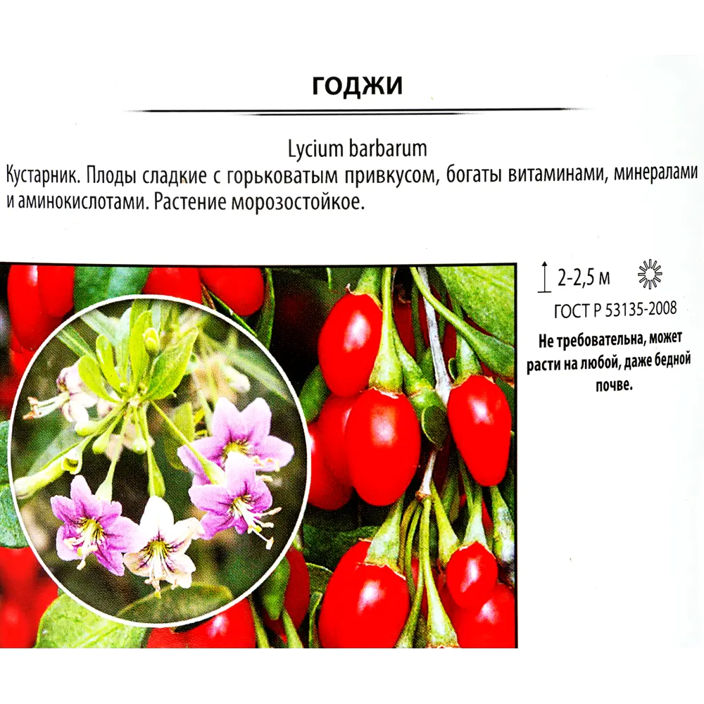 Фото 2 Годжи «Биг Берри» 2 л