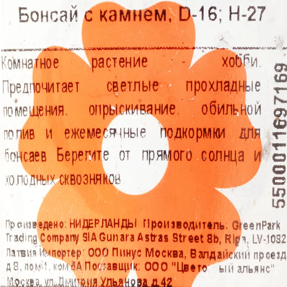Фото 3 Бонсай с камнем 16х20 см Фото 3 Бонсай с камнем 16х20 см