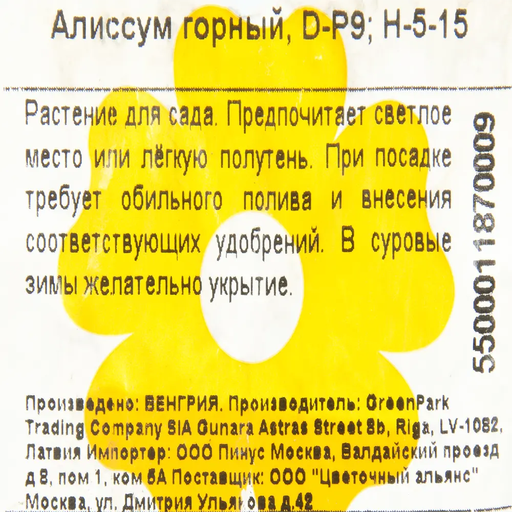 Фото 2 Алиссум горный P9 Фото 2 Алиссум горный P9