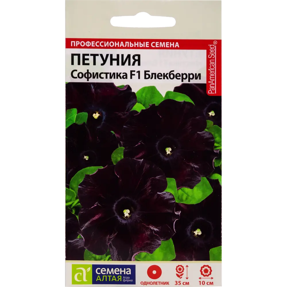Фото Петуния «Софистика » Блекберри, 5 шт. Фото Петуния «Софистика » Блекберри, 5 шт.