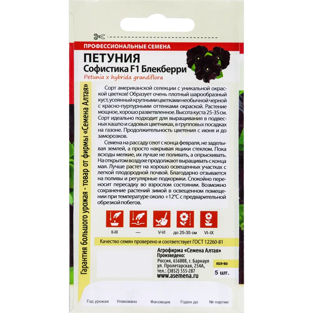 Фото 2 Петуния «Софистика » Блекберри, 5 шт. Фото 2 Петуния «Софистика » Блекберри, 5 шт.