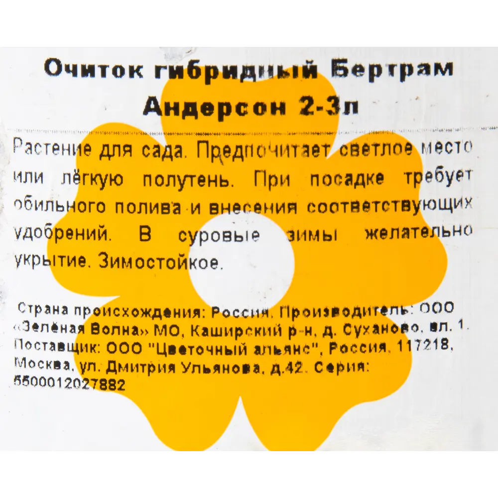 Фото 2 Очиток гибридный «Бертрам Андерсон» 2-3 л Фото 2 Очиток гибридный «Бертрам Андерсон» 2-3 л