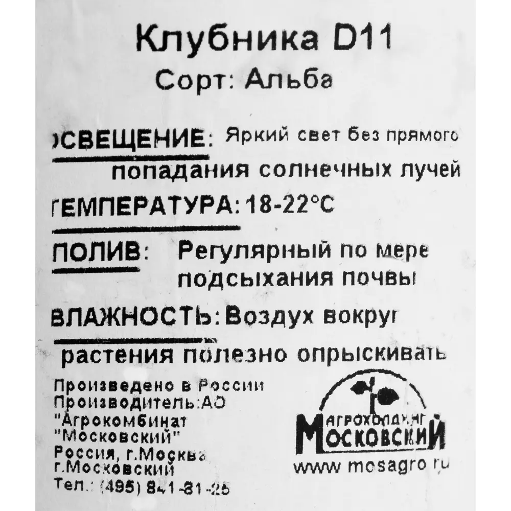 Фото 2 Клубника, диаметр 11 см Фото 2 Клубника, диаметр 11 см
