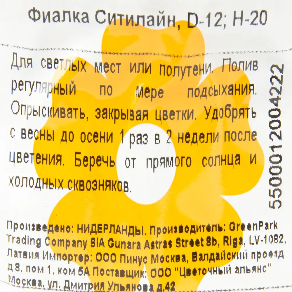 Фото 3 Фиалка Ситилайн 12х20 см Фото 3 Фиалка Ситилайн 12х20 см