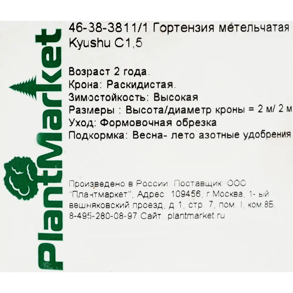 Фото 2 Гортензия метельчатая «Киушу» C1.5 Фото 2 Гортензия метельчатая «Киушу» C1.5