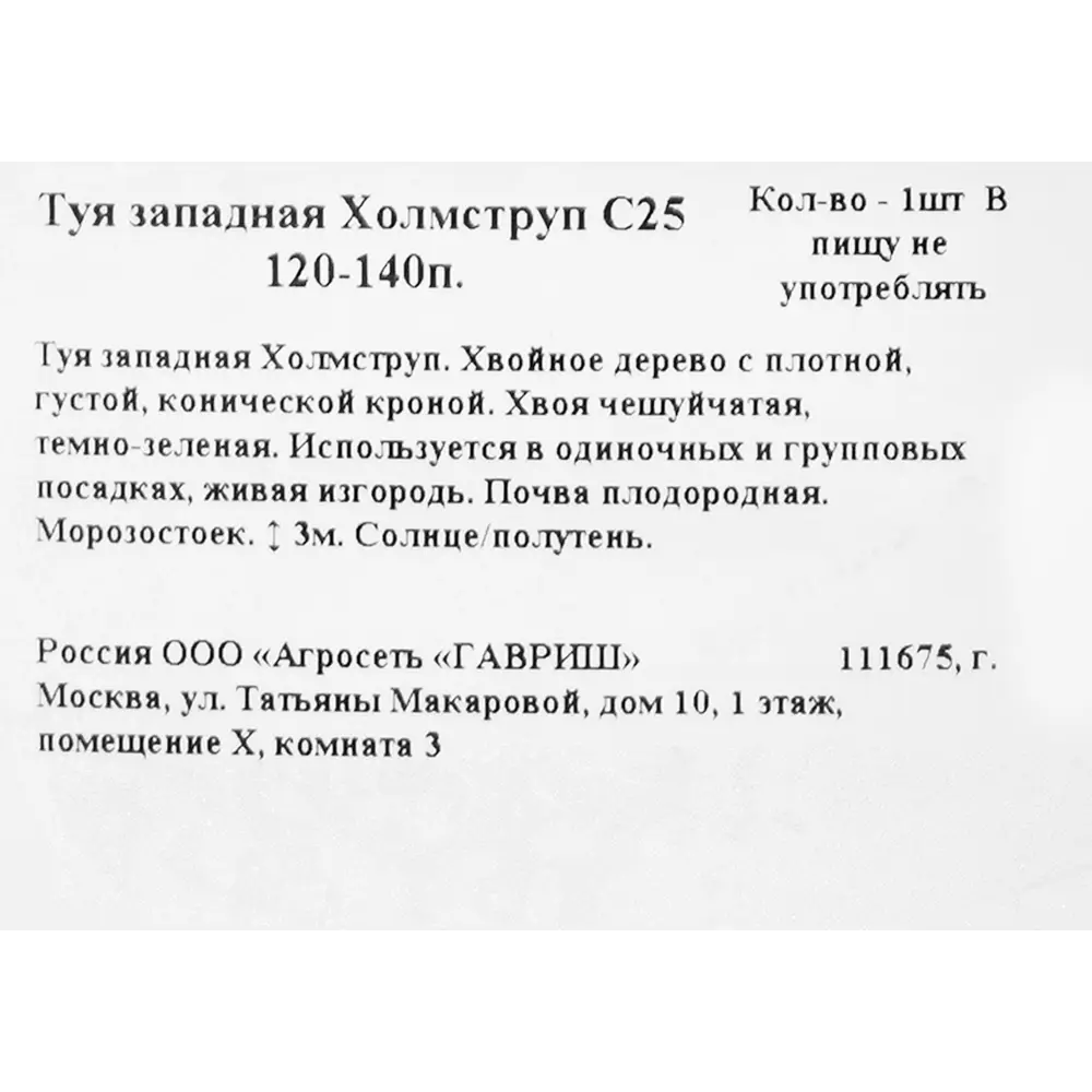 Фото 2 Туя западная «Холмструп» C25 120-140 см Фото 2 Туя западная «Холмструп» C25 120-140 см