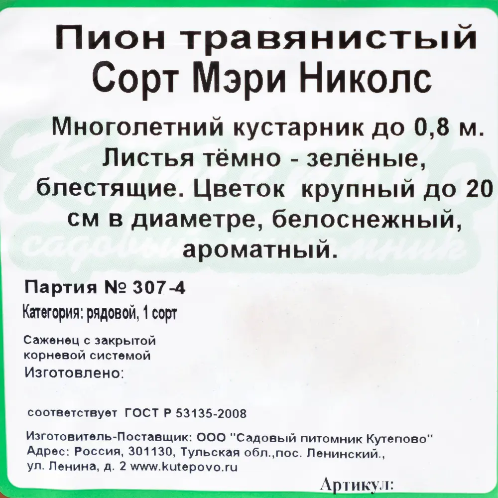 Фото 2 Пион травянистый белоцветущий «Мери Николз» С2 см Фото 2 Пион травянистый белоцветущий «Мери Николз» С2 см