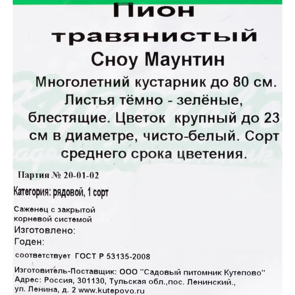 Фото 2 Пион травянистый белоцветущий «Сноу Маунтин» С2 см Фото 2 Пион травянистый белоцветущий «Сноу Маунтин» С2 см