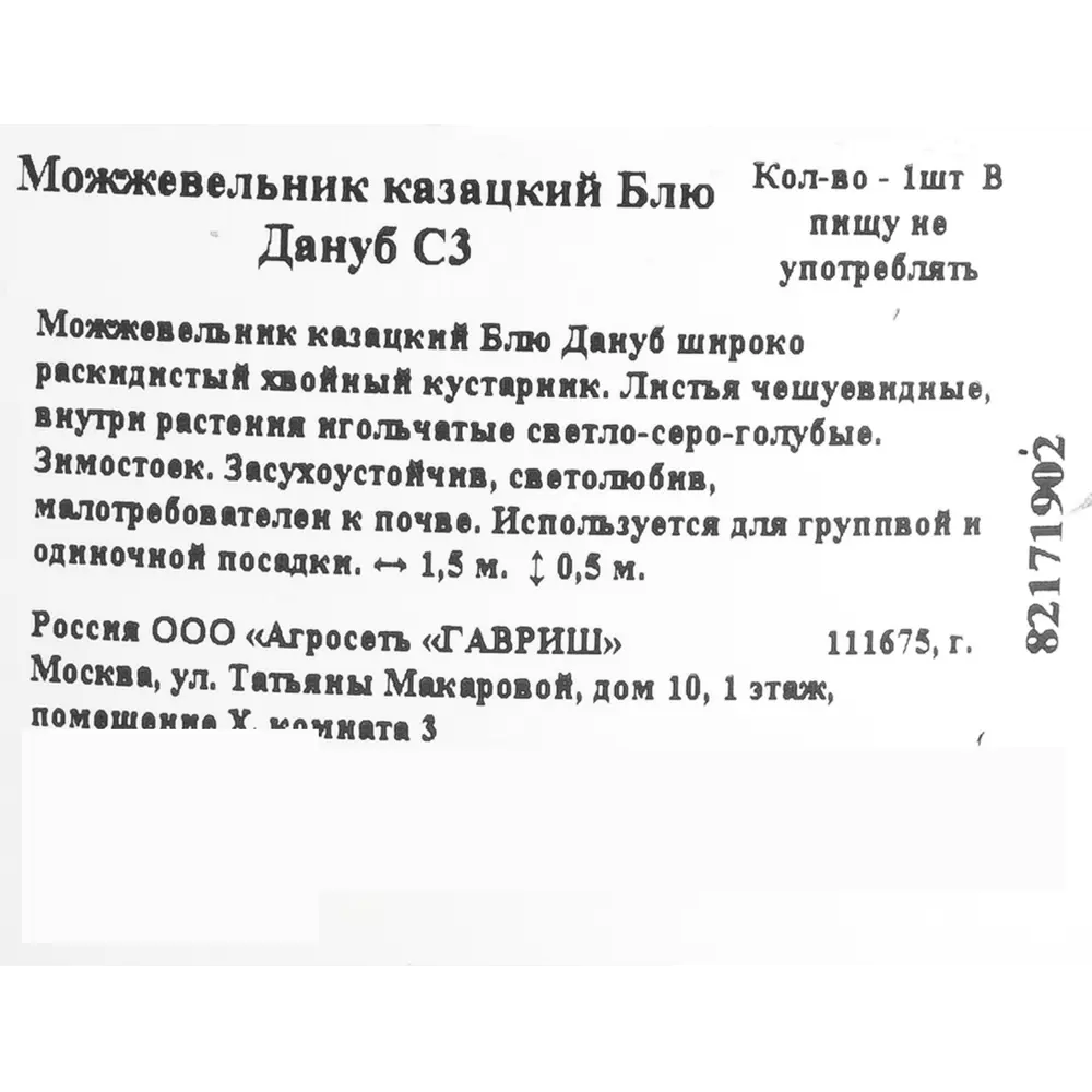Фото 2 Можжевельник казацкий «Блю Дануб» C3 Фото 2 Можжевельник казацкий «Блю Дануб» C3