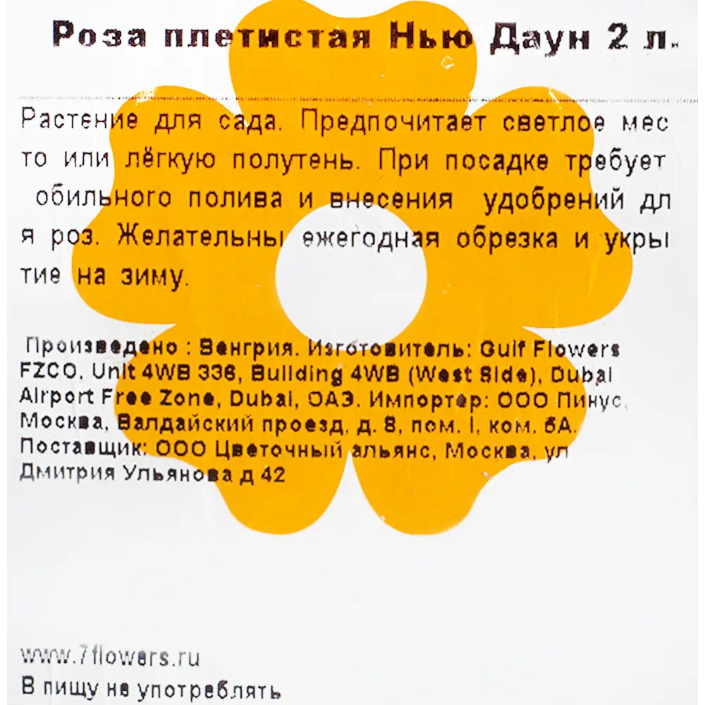 Фото 2 Роза плетистая Нью Даун 2 л. Фото 2 Роза плетистая Нью Даун 2 л.