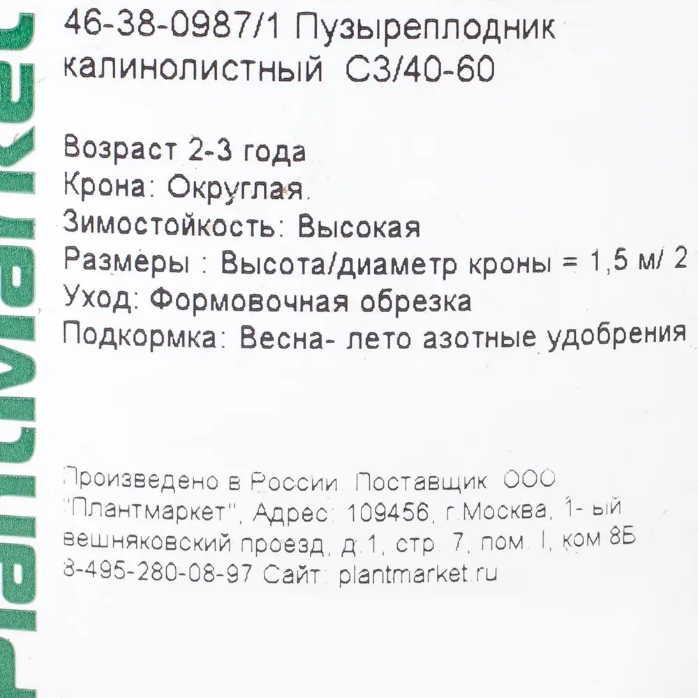 Фото 3 Пузыреплодник калинолистный, С3/40-60 см Фото 3 Пузыреплодник калинолистный, С3/40-60 см