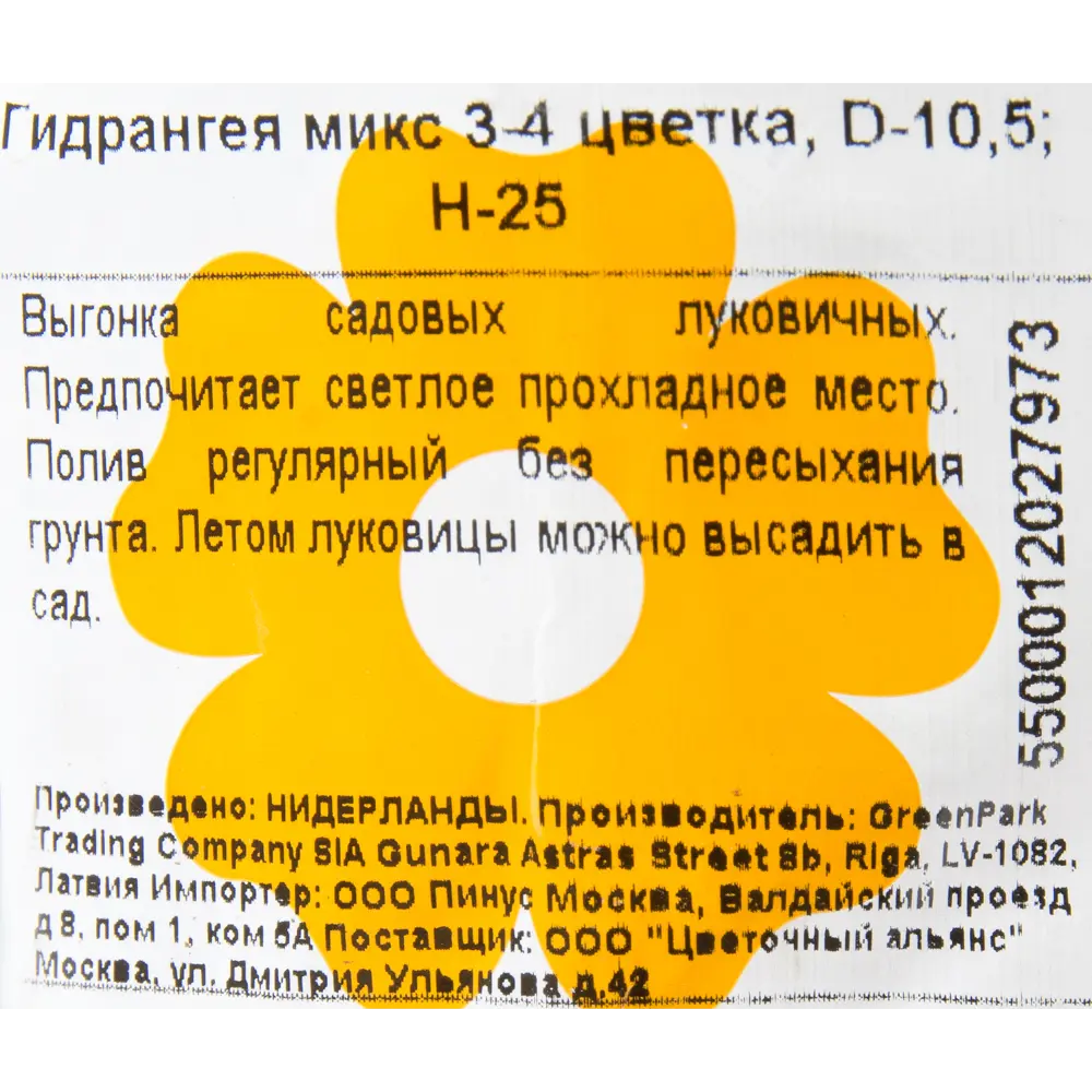 Фото 3 Гидрангея микс 3-4 цветка. D10.5. H25