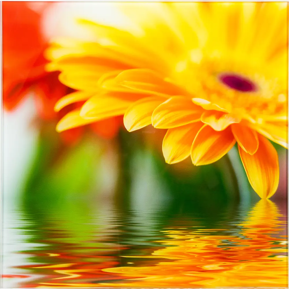 Фото Картина на стекле 30x30 см Flower 28702009 Фото Картина на стекле 30x30 см Flower 28702009