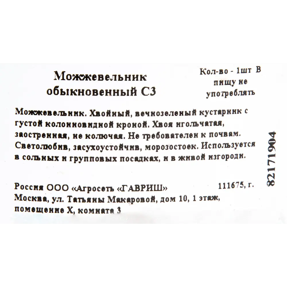 Фото 2 Можжевельник обыкновенный C3 Фото 2 Можжевельник обыкновенный C3