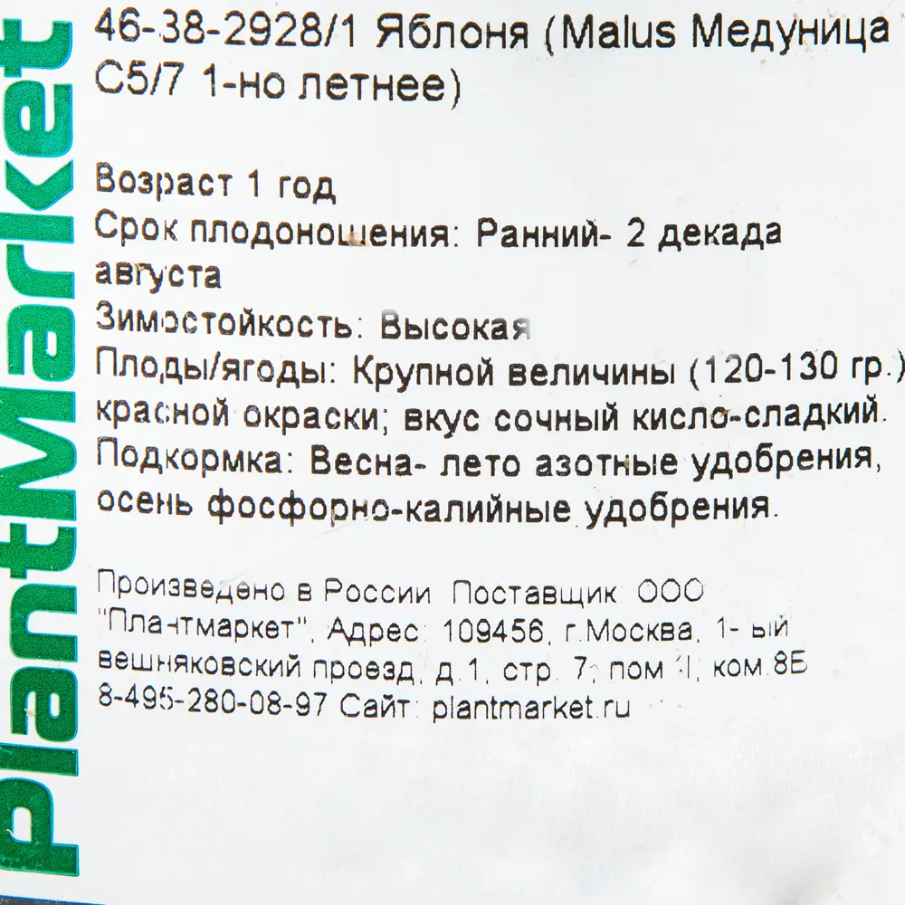Фото 2 Яблоня «Медуница», С5-С7, однолетняя Фото 2 Яблоня «Медуница», С5-С7, однолетняя