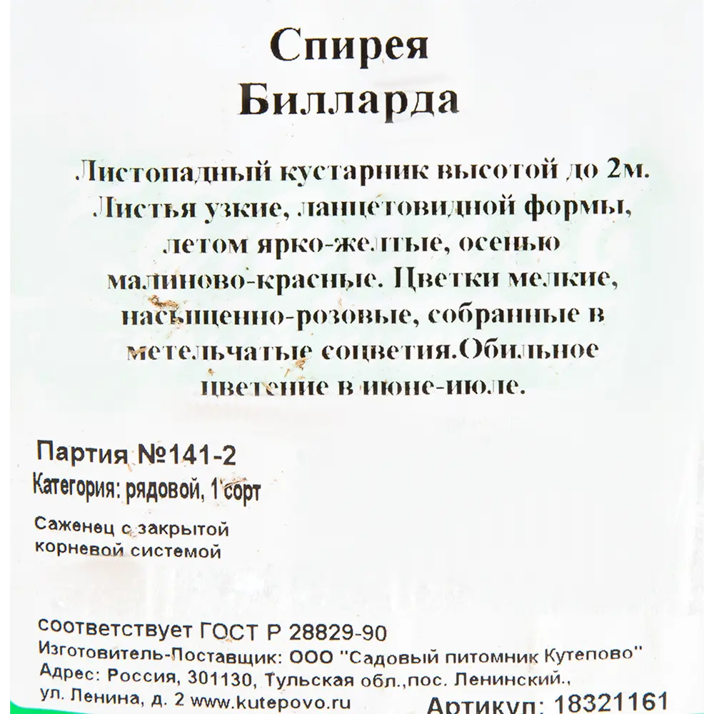 Фото 2 Спирея «Билларда С2», 40 см Фото 2 Спирея «Билларда С2», 40 см