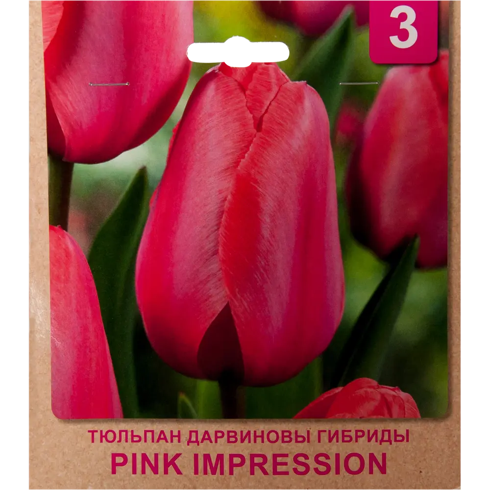 Фото Тюльпан «Pink Impression» размер луковицы 10/11, 3 шт. Фото Тюльпан «Pink Impression» размер луковицы 10/11, 3 шт.