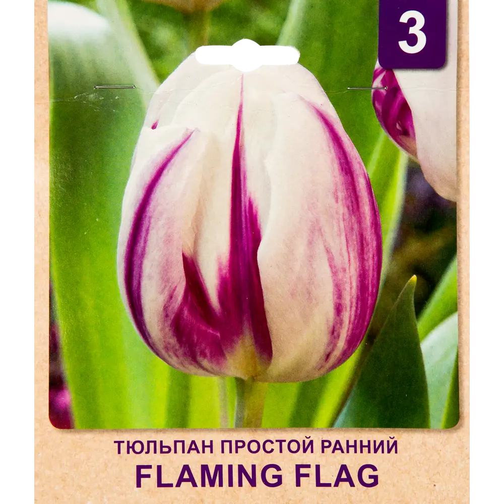 Фото Тюльпан «Flaming Flag» размер луковицы 10/11, 3 шт. Фото Тюльпан «Flaming Flag» размер луковицы 10/11, 3 шт.