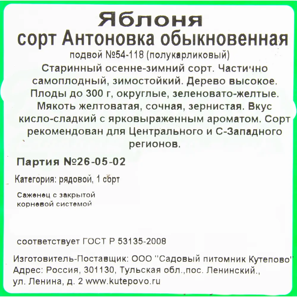 Фото 2 Яблоня «Антоновка обыкновенная» 4 л