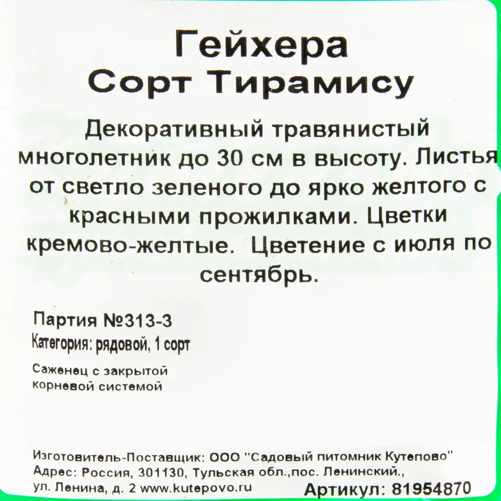 Фото 2 Гейхера гибридная С1 «Тирамису» h15 Фото 2 Гейхера гибридная С1 «Тирамису» h15