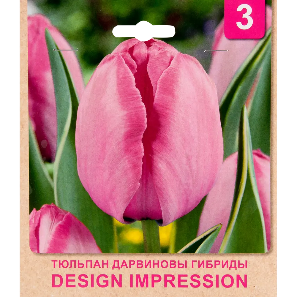 Фото Тюльпан «Design Impression» размер луковицы 10/11, 3 шт. Фото Тюльпан «Design Impression» размер луковицы 10/11, 3 шт.