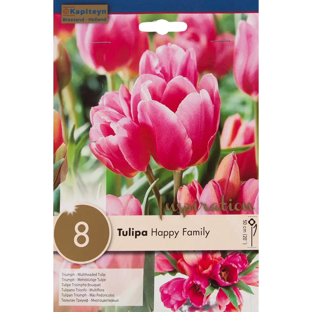 Фото Тюльпан «Happy Family» размер луковицы 12/, 8 шт. Фото Тюльпан «Happy Family» размер луковицы 12/, 8 шт.