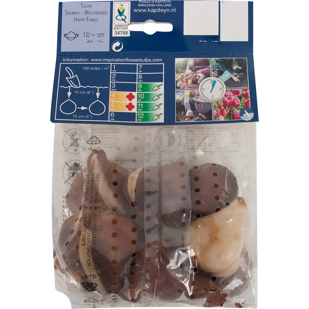 Фото 2 Тюльпан «Happy Family» размер луковицы 12/, 8 шт. Фото 2 Тюльпан «Happy Family» размер луковицы 12/, 8 шт.