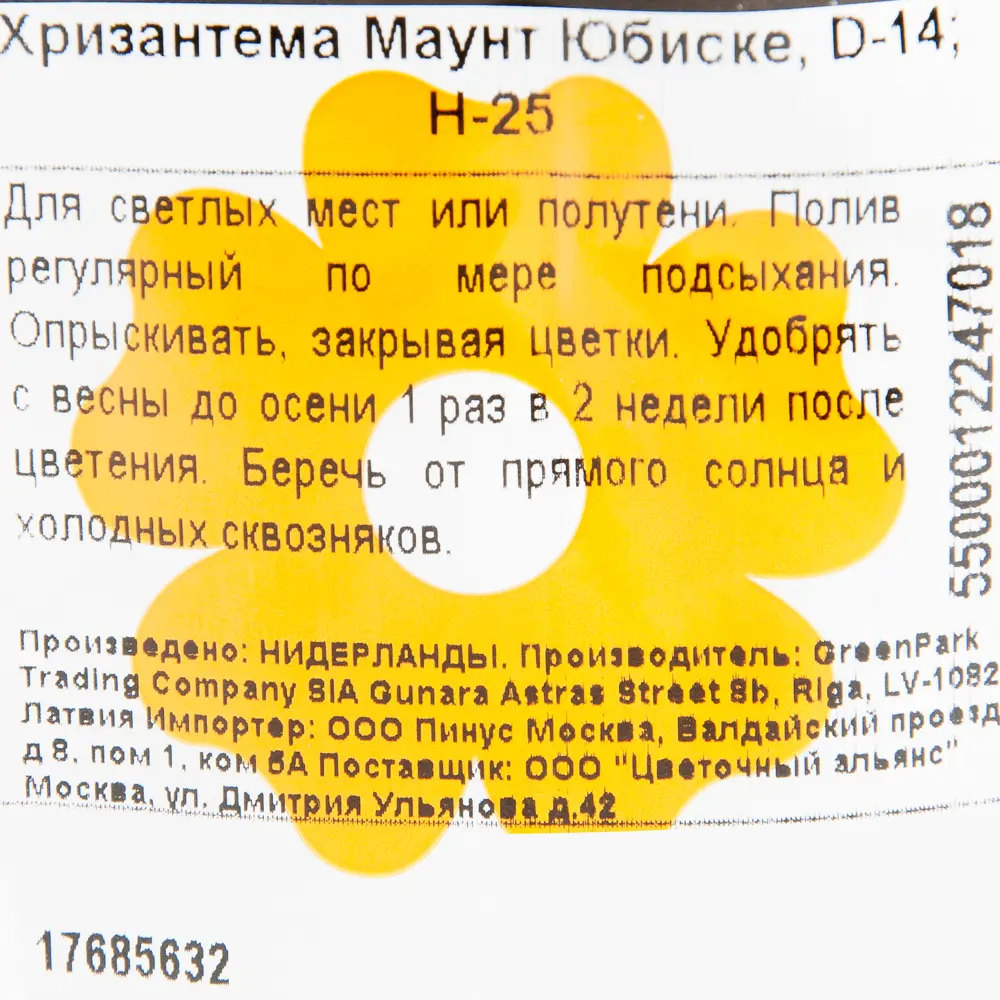 Фото 3 Хризантема «Маунт Юбиске»
