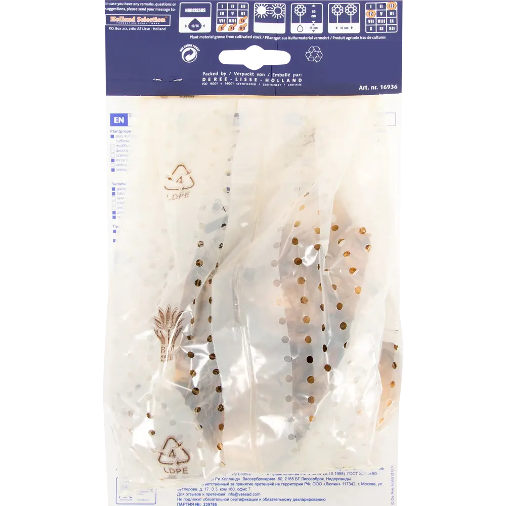 Фото 2 Нарцисс «Менли»