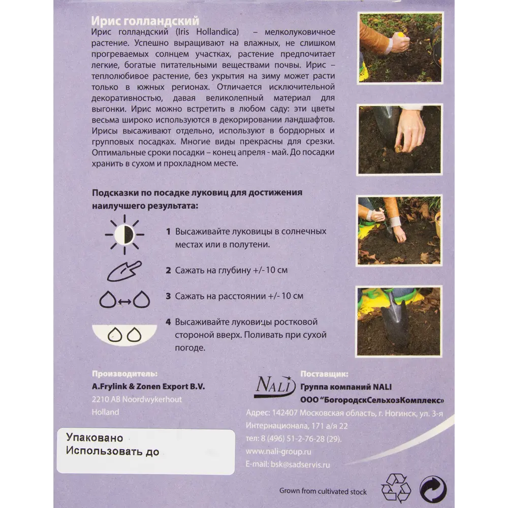 Фото 3 Ирис Смесь низкорослых сортов 6/7(15/15) Фото 3 Ирис Смесь низкорослых сортов 6/7(15/15)