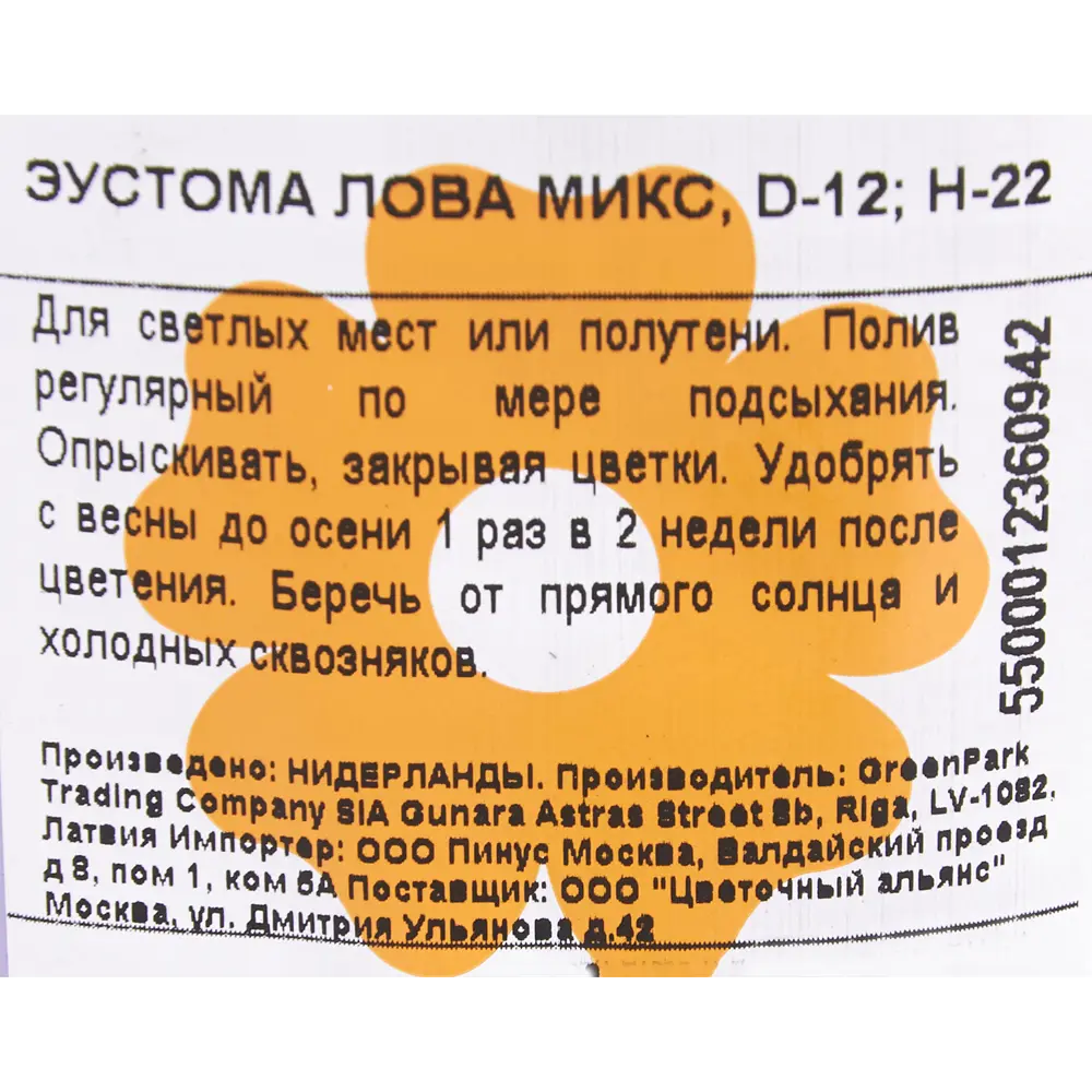 Фото 2 Эустома «Лова Микс» Ø12 см h22 см Фото 2 Эустома «Лова Микс» Ø12 см h22 см