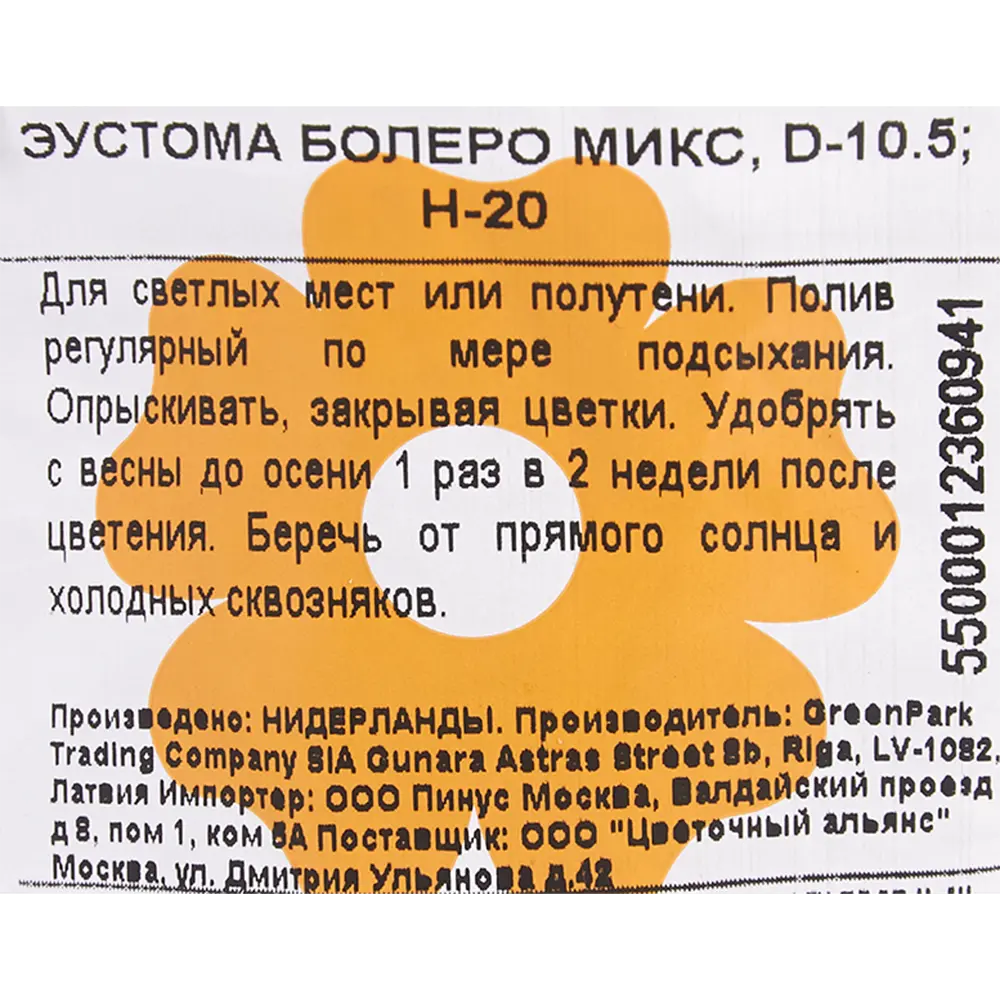 Фото 4 Эустома «Болеро Микс» Ø10.5 см h20 см Фото 4 Эустома «Болеро Микс» Ø10.5 см h20 см