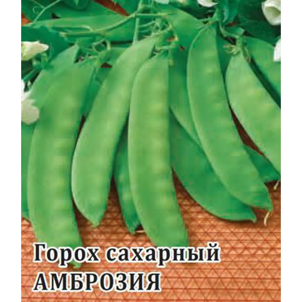 Фото Семена Горох «Амброзия» Фото Семена Горох «Амброзия»