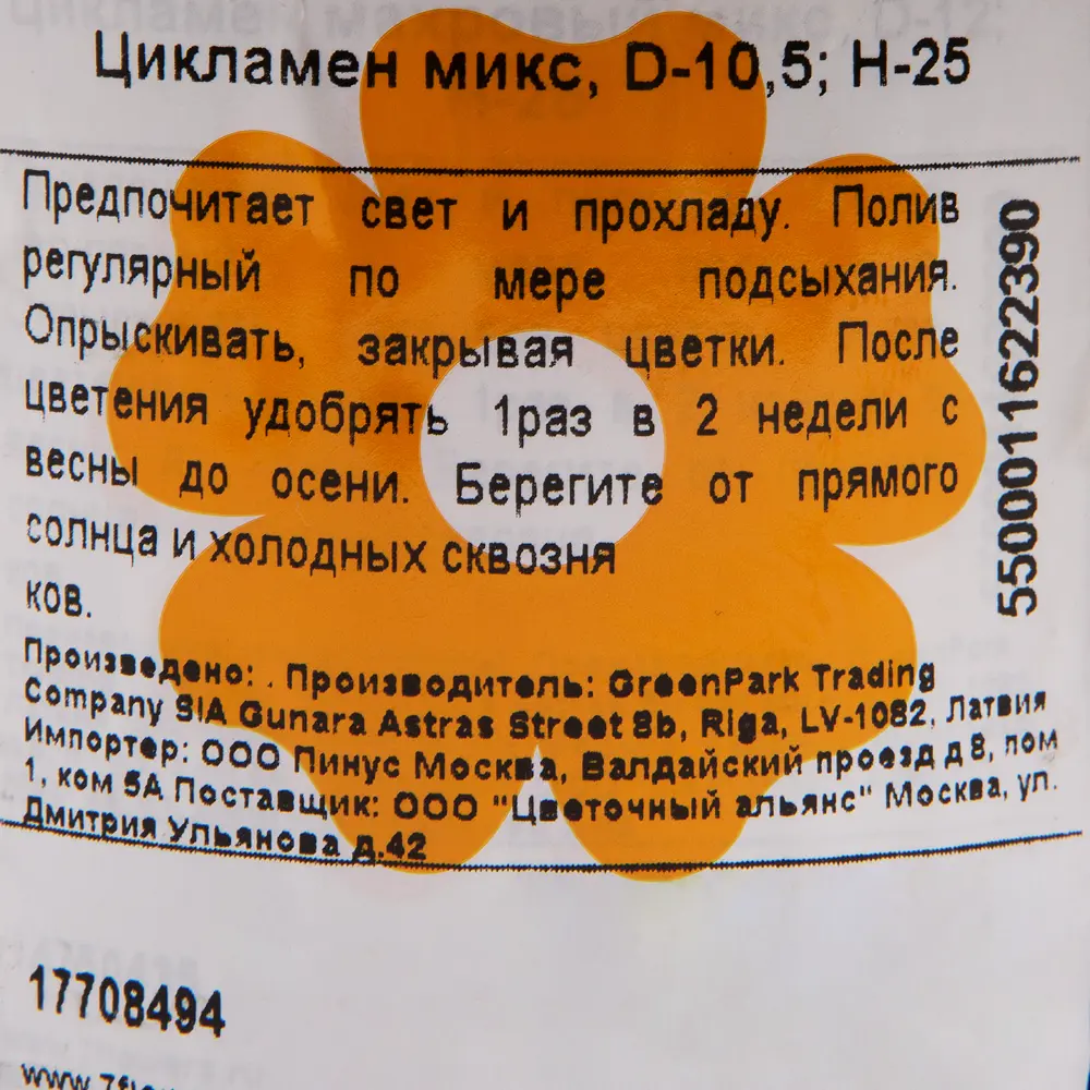 Фото 3 Цикламен микс 10.5x25 см Фото 3 Цикламен микс 10.5x25 см
