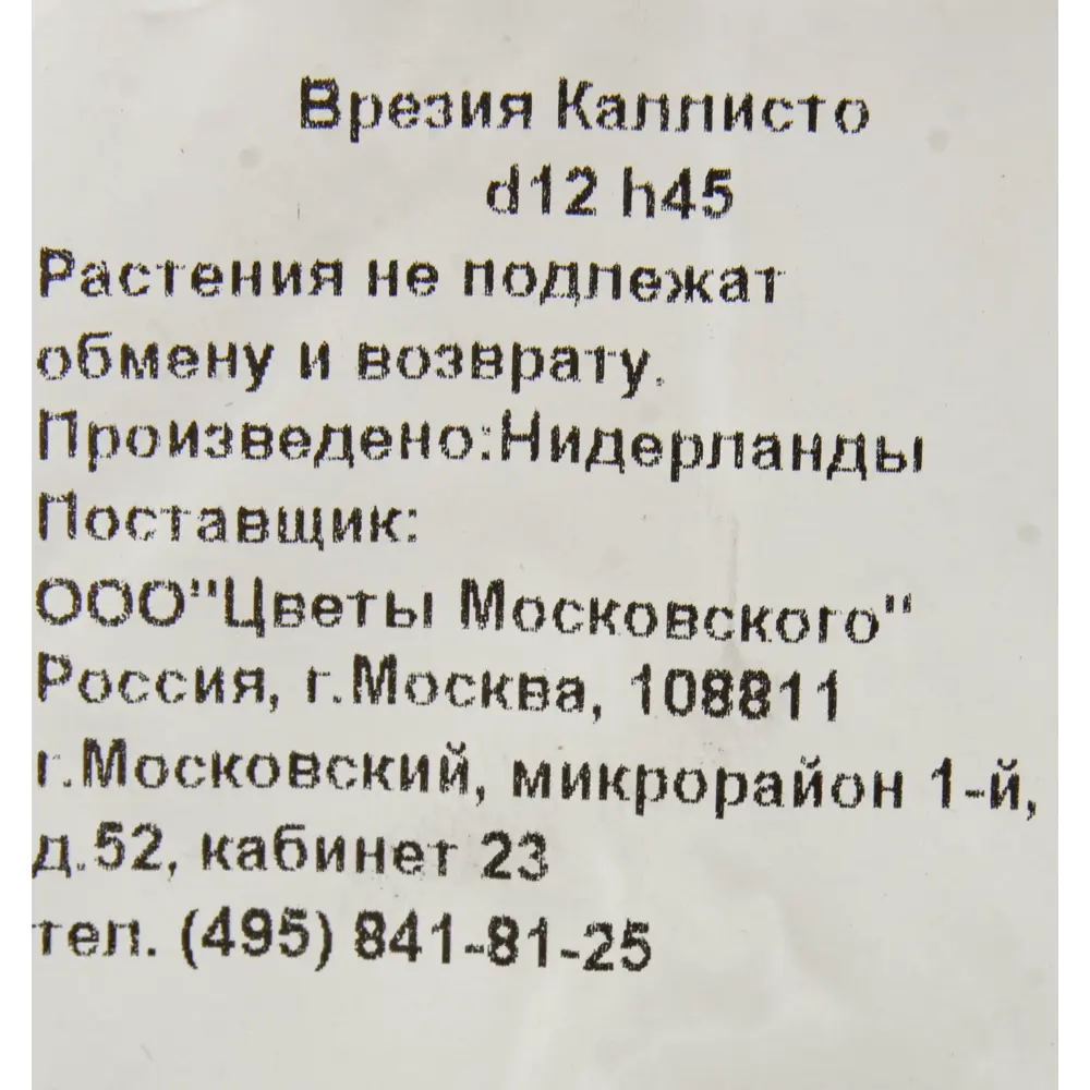 Фото 3 Врезия Каллисто 12x45 см Фото 3 Врезия Каллисто 12x45 см