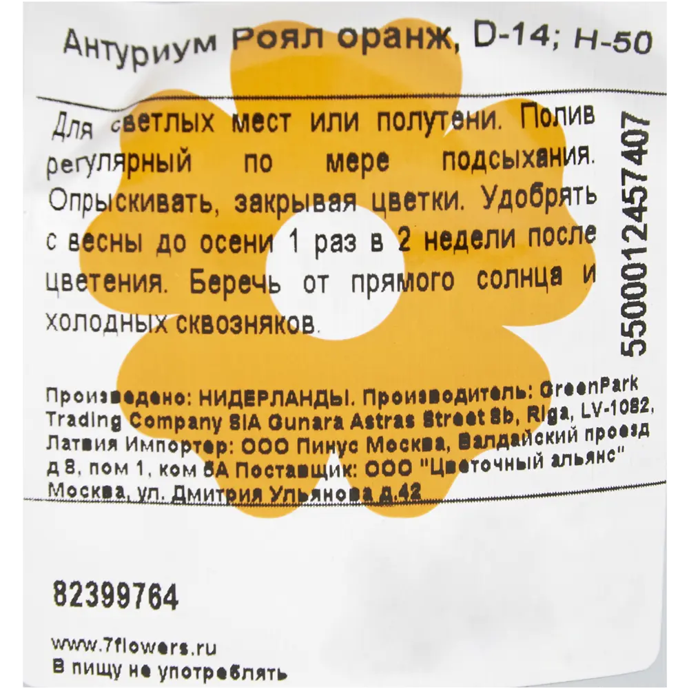 Фото 3 Антуриум Роял Оранж ø14 h50 см Цветочный альянс Фото 3 Антуриум Роял Оранж ø14 h50 см Цветочный альянс