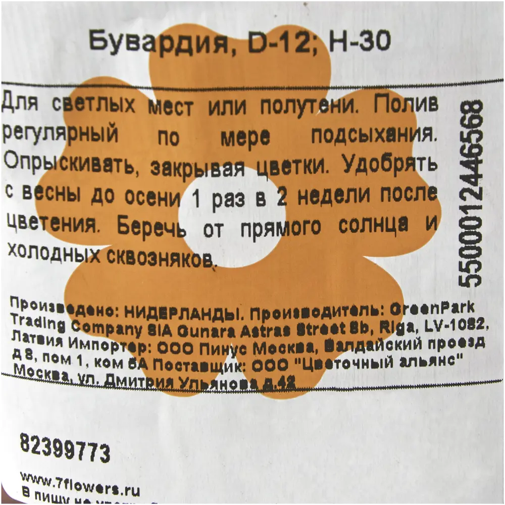 Фото 3 Бувардия ø12 h30 см Цветочный альянс Фото 3 Бувардия ø12 h30 см Цветочный альянс