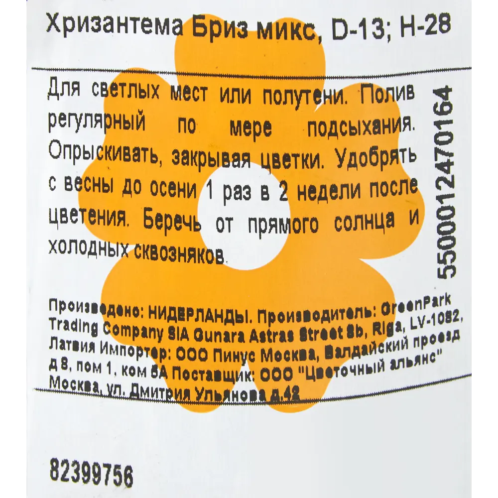Фото 3 Хризантема Бриз микс 13Х28 см Фото 3 Хризантема Бриз микс 13Х28 см