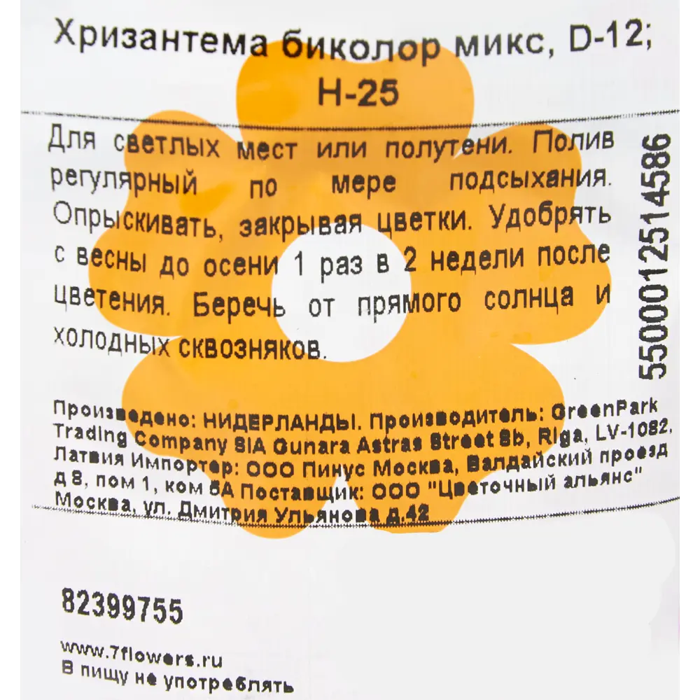 Фото 3 Хризантема Биколор микс 12x25 см Фото 3 Хризантема Биколор микс 12x25 см