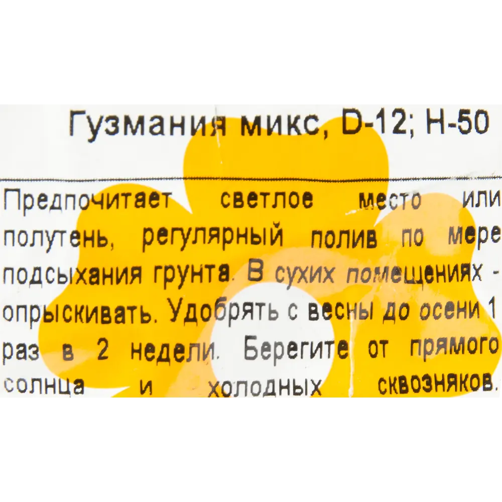 Фото 3 Гузмания микс 12х50 см Фото 3 Гузмания микс 12х50 см