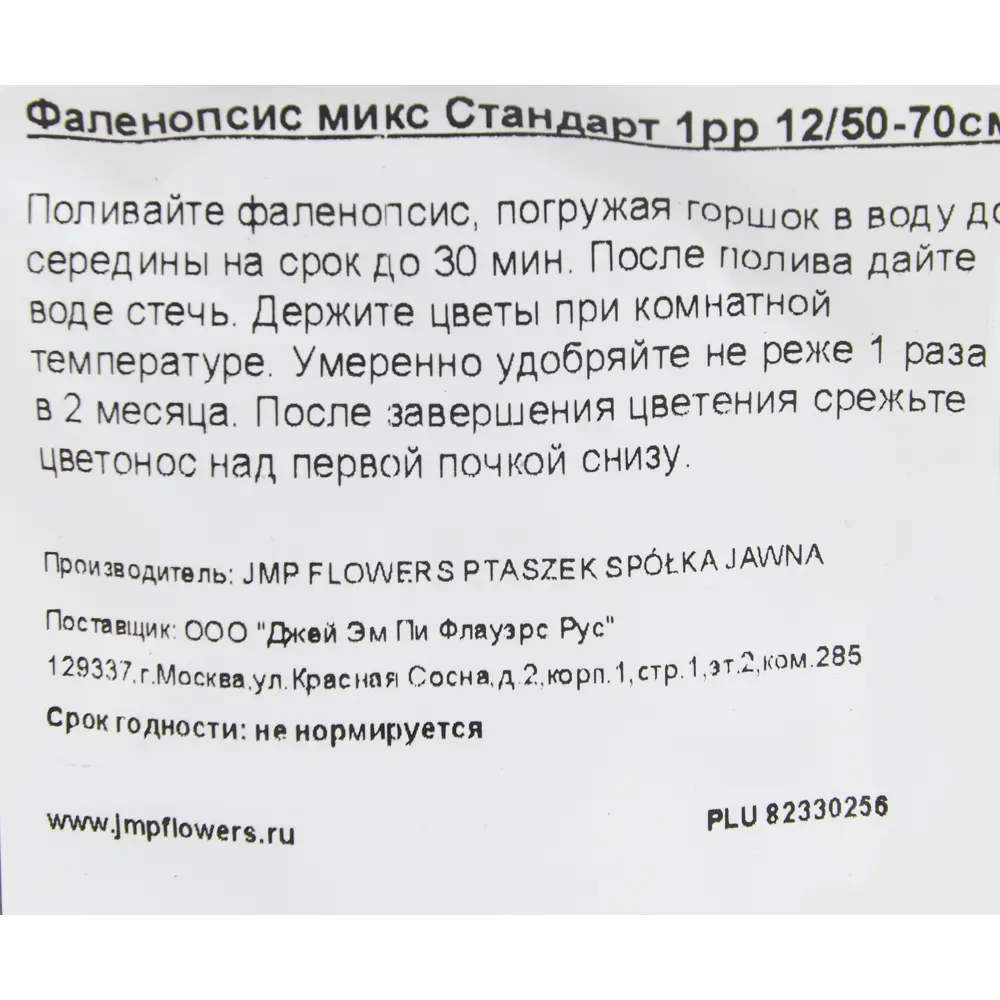 Фото 3 Орхидея Фаленопсис Стандарт микс 1 стебель ø12 h70 см Фото 3 Орхидея Фаленопсис Стандарт микс 1 стебель ø12 h70 см