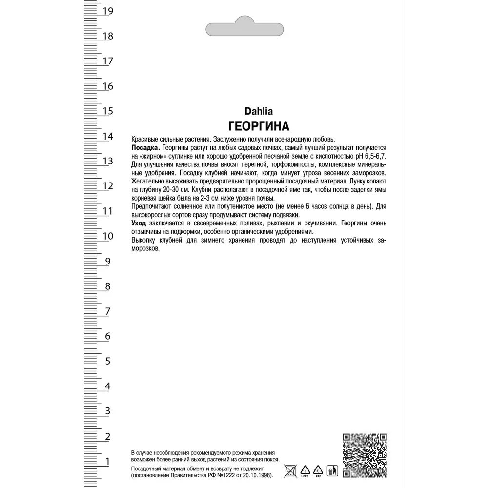 Фото 2 Георгины бахромчатые Айс Кристал