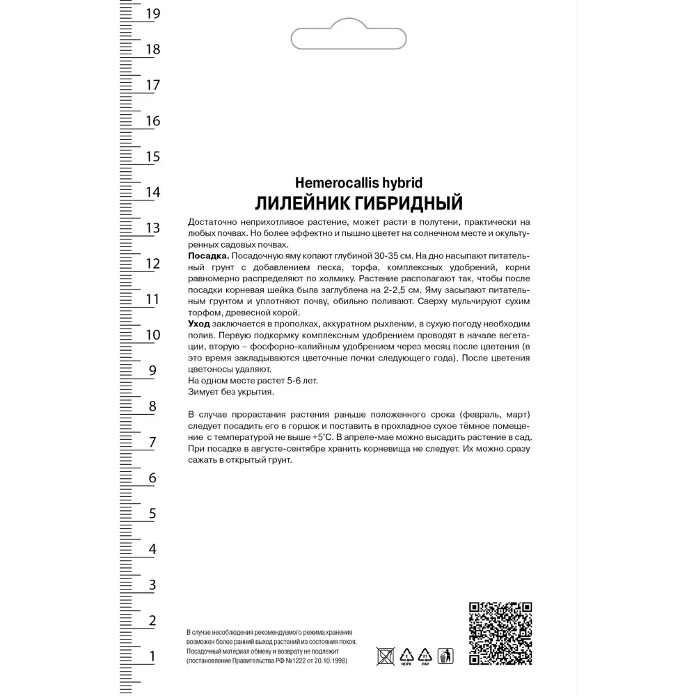 Фото 2 Лилейник гибридный «Джипси Тертл» Фото 2 Лилейник гибридный «Джипси Тертл»